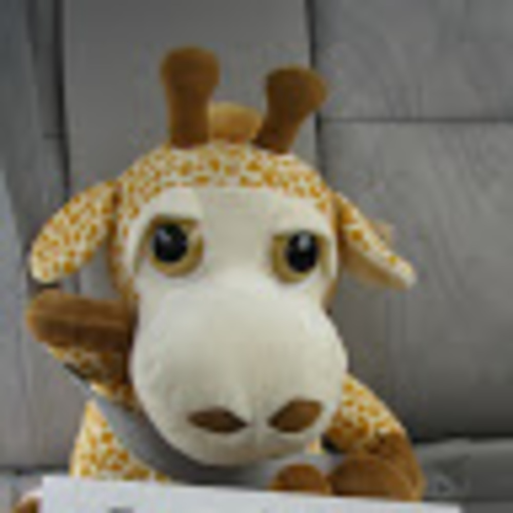 Meet your Posher, Madeline